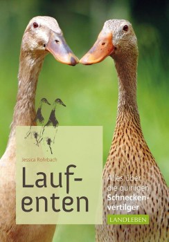 Laufenten1