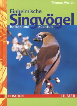 Waldvogel