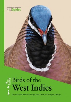 birds-of-the-west-indies