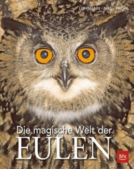 die-magische-welt-der-eulen_2934990